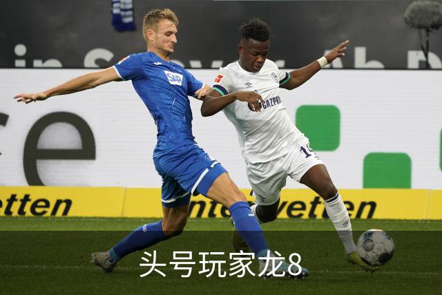 头号玩家龙8公司介绍